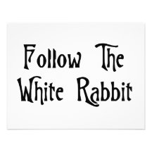 Suivez le lapin blanc bristol