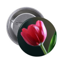 Sun a embrassé le bouton de tulipe badges