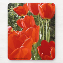 Sun a embrassé les tulipes et la Rosemary Mousepad Tapis De Souris