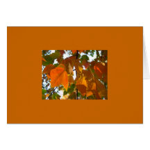Sun par le feuille d'automne carte de vœux