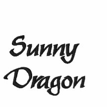 SunnyDragon Polo Avec Broderie