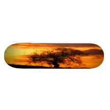 Sunsetree Planche À Roulette