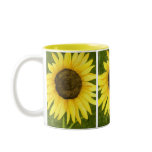 Sunshine On A Stick Mug