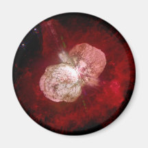 Supernova Aimants