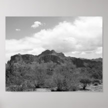 Superstition Mtns. Guerre biologique Posters