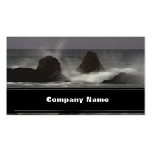 Sur les roches - plage blanche de point, NS Modèle De Carte De Visite