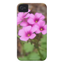 Sur mon Coque-Compagnon de l'iPhone 4 de seuil Coque iPhone 4 Case-Mate