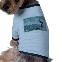 surfer manteaux pour animaux domestiques
