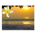 Surfers hawaïens cartes postales