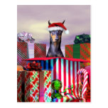 Surprise de Noël de dobermann Cartes Postales