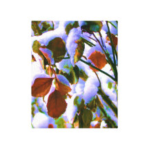 Surprise de rosier impression sur toile