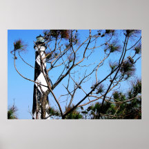 Surveillance de cap poster