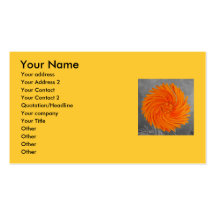 swirldaisyorange, votre nom, votre adresse, votre… carte de visite