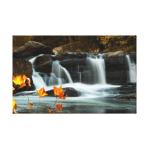 Sycomore et eau toile tendue