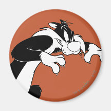 Sylvester rôdant aimant