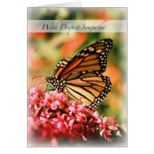 Sympathie de papillon de monarque 2844 cartes de vœux