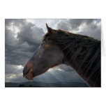 Sympathie de perte de cheval cartes de vœux