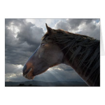 Sympathie de perte de cheval cartes de vœux