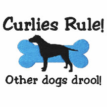 T-shirt brodé par règle de Curlies