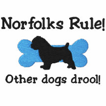 T-shirt brodé par règle de Norfolks
