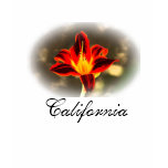 T-shirt de la Californie