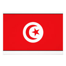 T-shirts et cadeaux tunisiens de drapeau bristols personnalisés