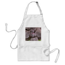 Tablier de Rex Bagonia