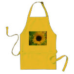 Tablier de tournesol