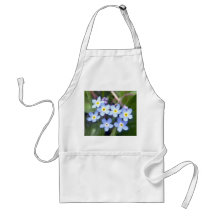Tablier des myosotis des marais 2