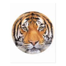 "Tache de tigre" sur le blanc, art d'aquarelle Carte Postale