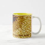 Tache solaire tasse