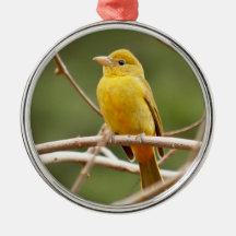 Tanager d'été ornements