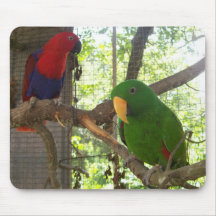 Tapis de souris 21 d'oiseau