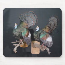 Tapis de souris 28 d'oiseau