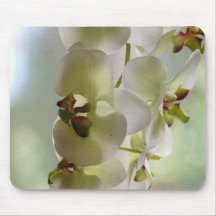 Tapis de souris balançant d'orchidées