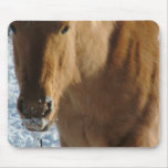 Tapis de souris belge de cheval de trait