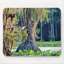 Tapis de souris - Cypress001