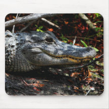 Tapis de souris d'alligator