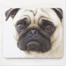 Tapis de souris de chien de carlin