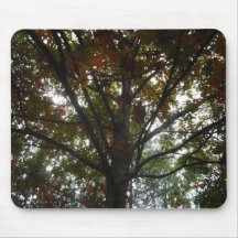 Tapis de souris de ColorfulTree