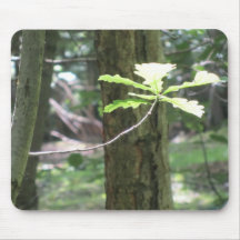 Tapis de souris de feuille de chêne