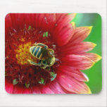 Tapis de souris de fleur sauvage et d'abeille