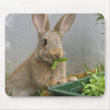 Tapis de souris de lapin de lapin