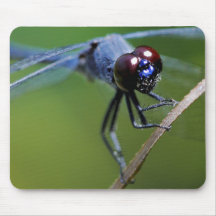 Tapis de souris de mouche de dragon