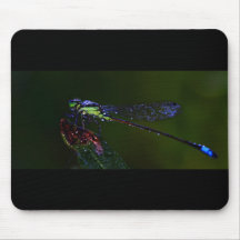 Tapis de souris de mouche de dragon