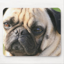 Tapis de souris de race de chien de carlin