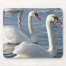Tapis de souris de réflexions de cygne