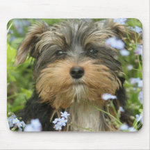 Tapis de souris de York Terrier