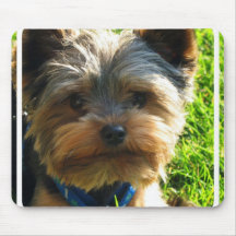 Tapis de souris de Yorkshire Terrier