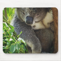 Tapis de souris décontracté de koala